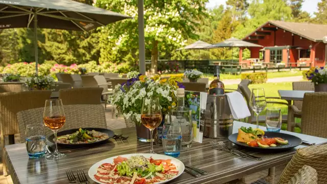 Savourez la gastronomie au milieu des forêts près de Beekbergen