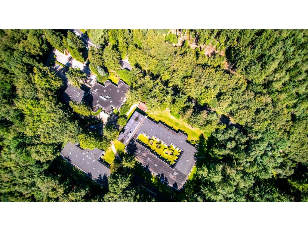 Découvrez et détendez-vous dans l'environnement boisé de la Veluwe - 4* - 1