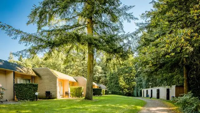 Moments en famille dans une chambre confortable au cœur de la Veluwe