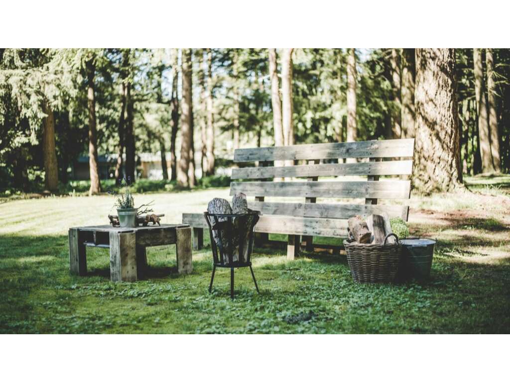 Découvrez et détendez-vous dans l'environnement boisé de la Veluwe - 4* - 15