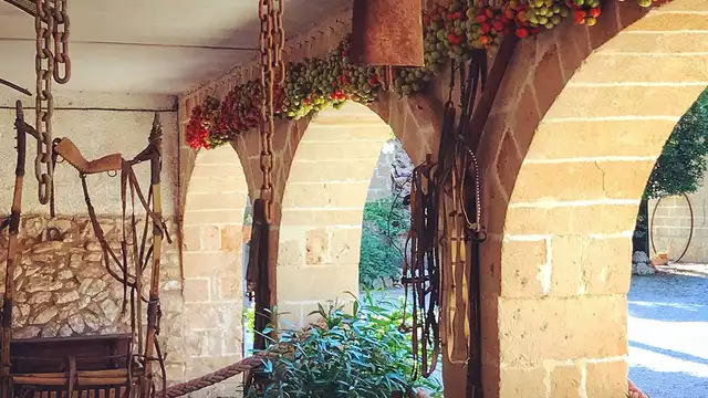 Gastronomisch uitje met lokale producten, in Apulië