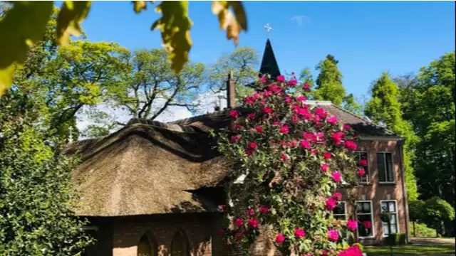Lusso e tranquillità in un ambiente verde dei Paesi Bassi