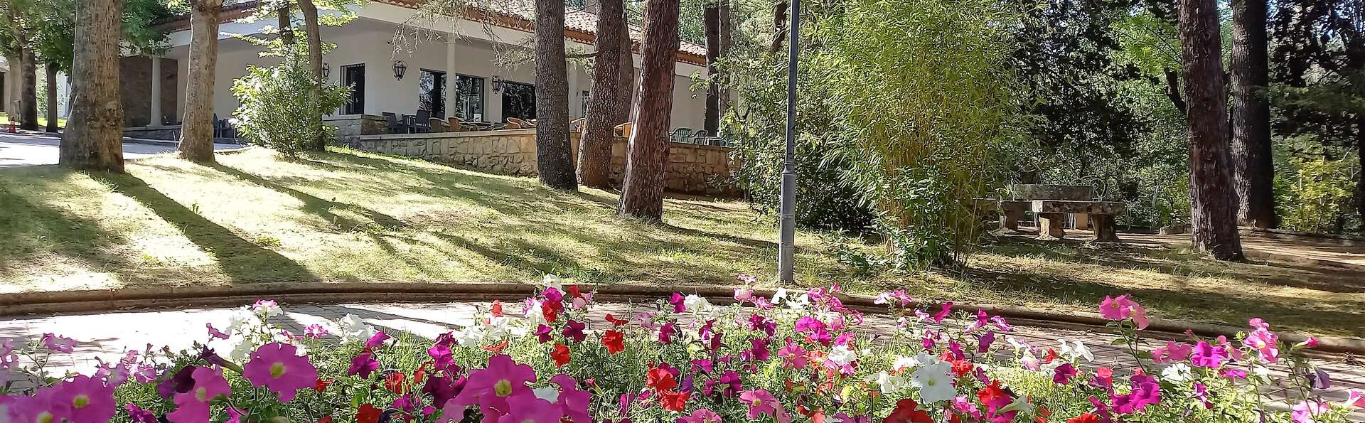Week-end de détente à Salamanque avec pension complète en chambre avec terrasse.