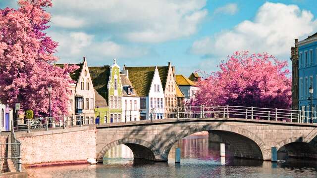 Descubre los canales de Brujas con un tour en barca