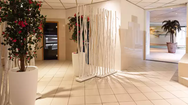 Se détendre dans les bois d'Oisterwijk
