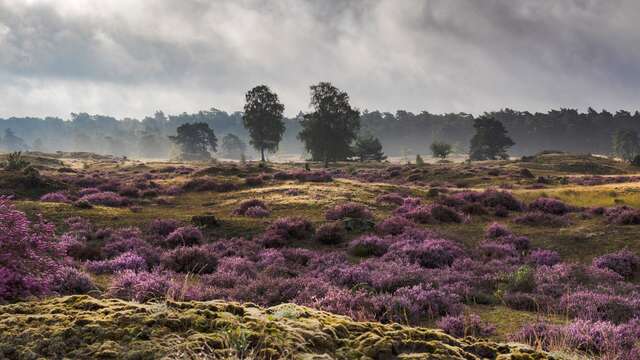 Ontspannen overnachting nabij de Veluwe