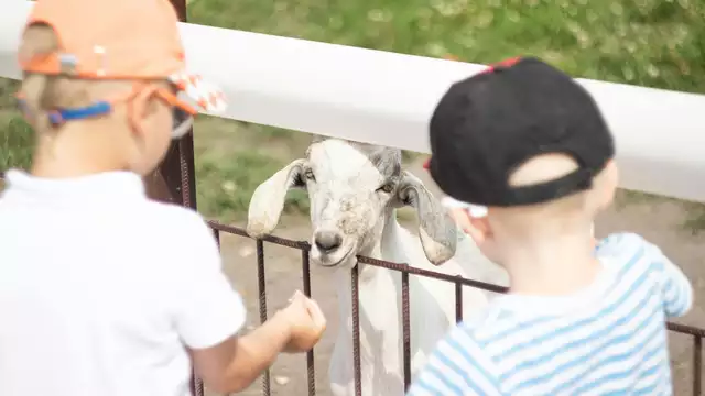 Aventurez-vous au ZooSafari de Thoiry le temps d'un week-end