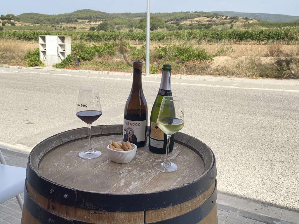 Escapade À Vilafranca Del Penedès Avec Dégustation De Vins Et De Fromages. - 3* (ref 14656)