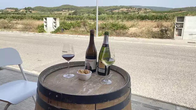 Escapada en Vilafranca del Penedès con degustación de vinos y queso