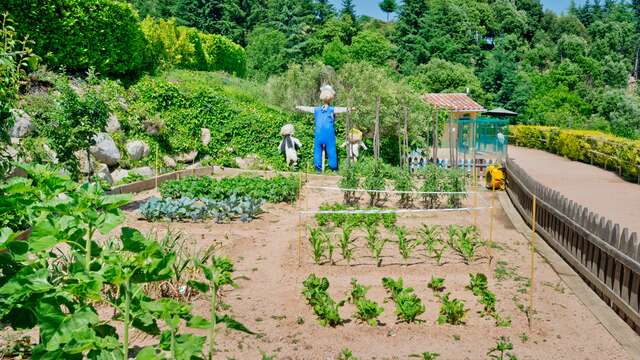 Spa e mezza pensione a Sant Hilari de Sacalm