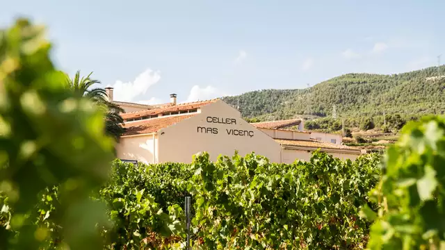 Escapade unique au cœur de Tarragone avec une visite au Celler Mas Vicenç.