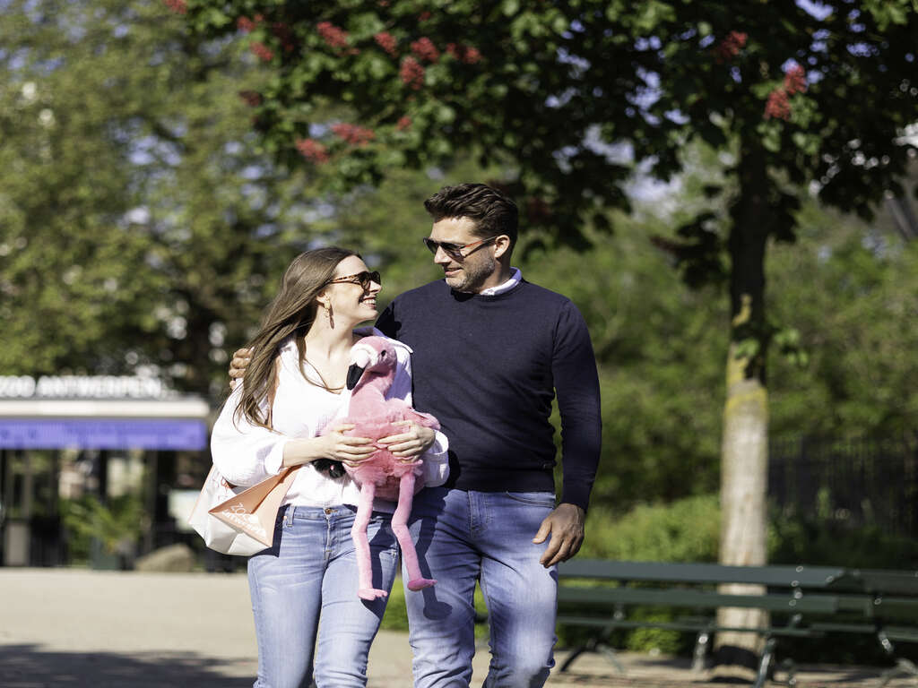 Séjour relaxant au coeur d'Anvers - 3* - 15