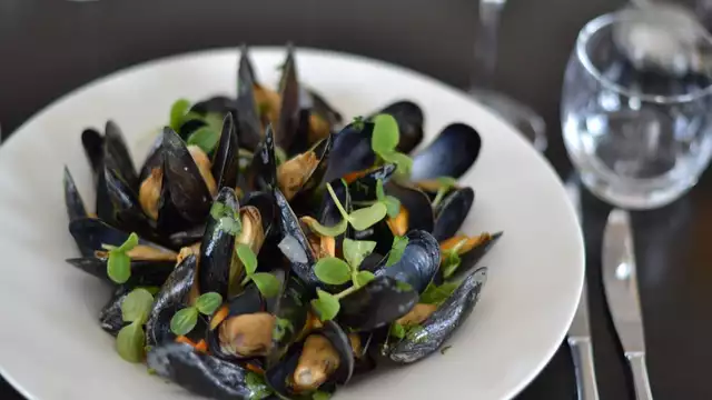 Disfrute culinario durante un momento de relax en la costa neerlandesa
