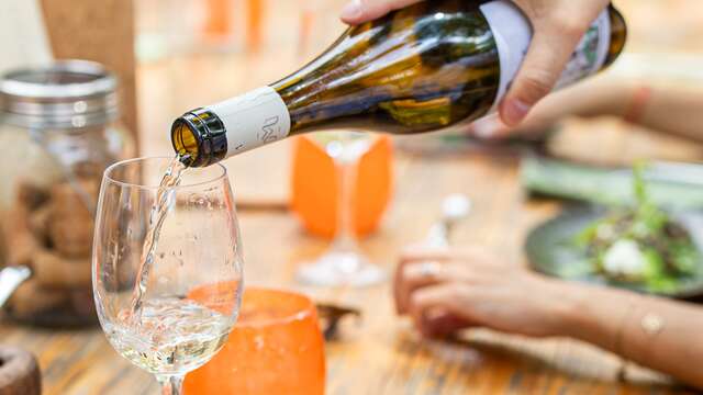 Dégustation de vins