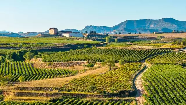 Visita a una cantina della Rioja per gli amanti del vino