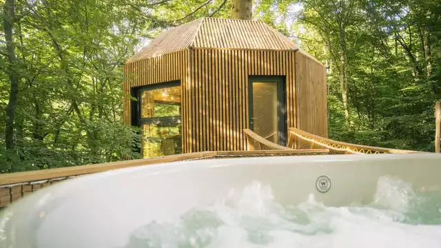 Séjour insolite perché dans les arbres