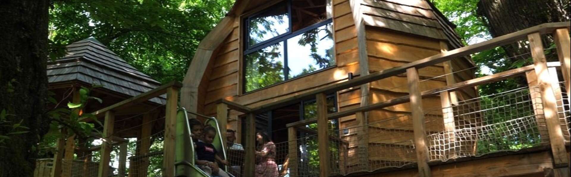 Séjour en famille en cabane insolite dans la forêt
