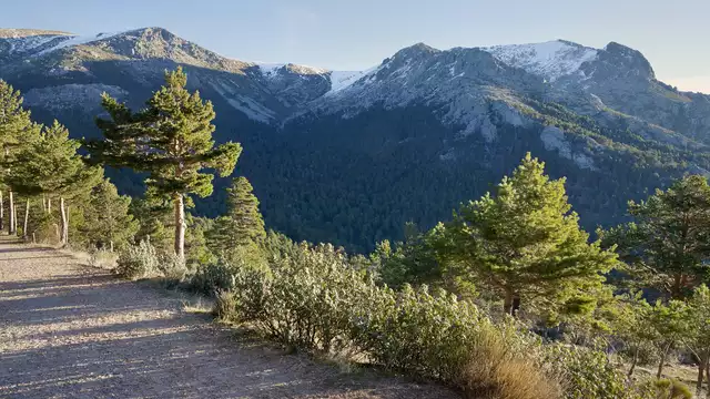 Escapade romantique dans la Sierra de Madrid en chambre double supérieure avec petit-déjeuner et accès au spa.