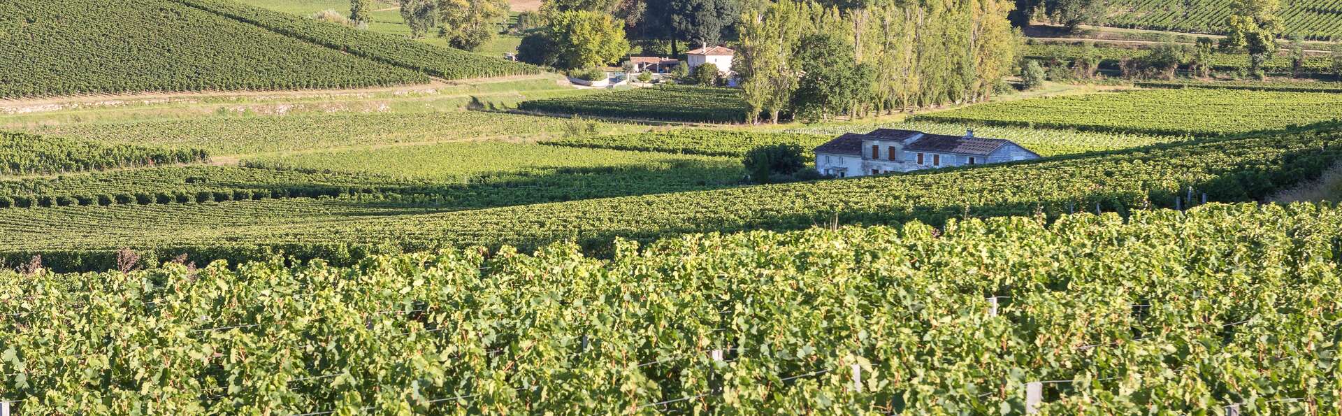 Escapade Bordelaise avec visite d'un vignoble à Saint-Émilion