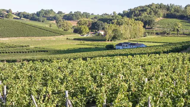 Escapade Bordelaise avec visite d'un vignoble à Saint-Émilion
