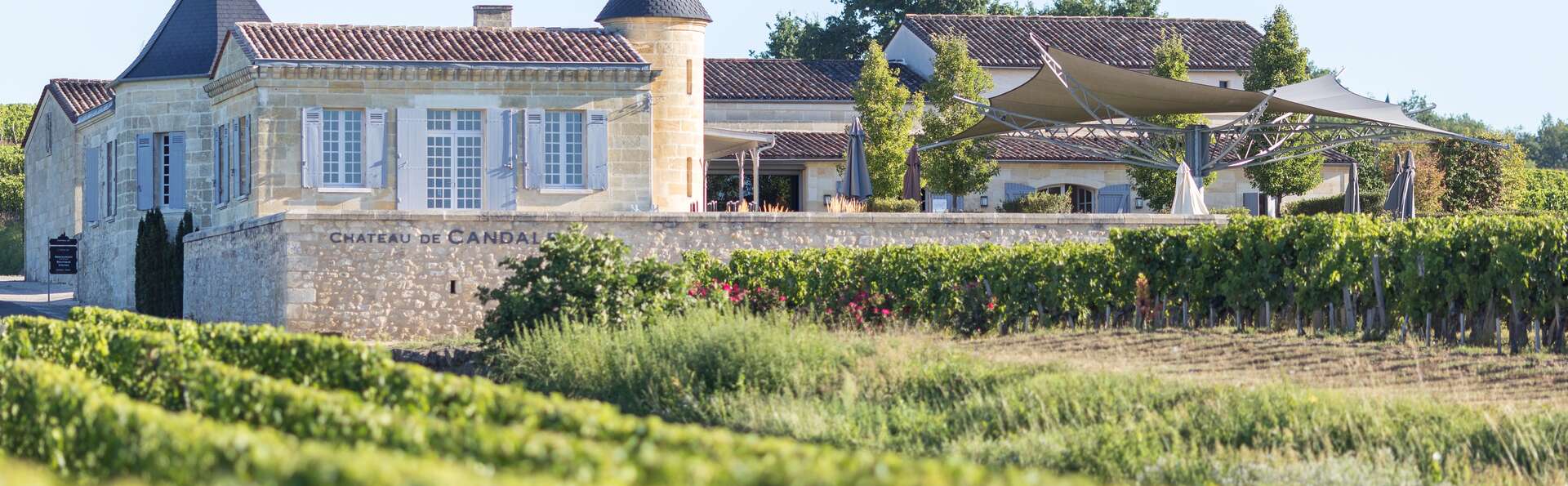 Week-end à Bordeaux et visite d'un domaine à Saint-Émilion