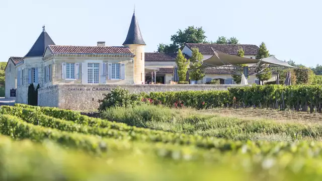 Week-end à Bordeaux et visite d'un domaine à Saint-Émilion