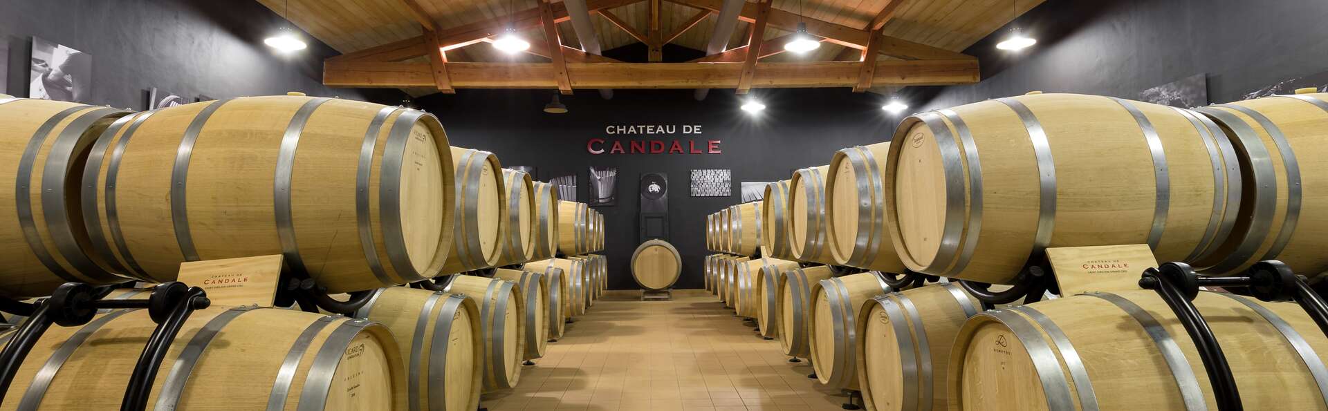 Escapade Bordelaise avec visite d'un vignoble à Saint-Émilion