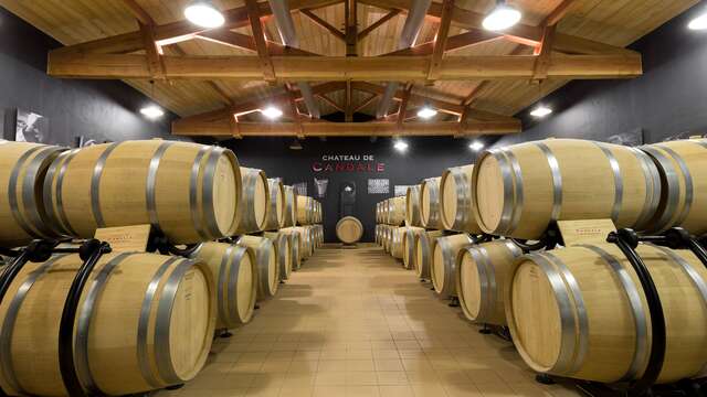 Hotel Ibis Bordeaux Saint Emilion
