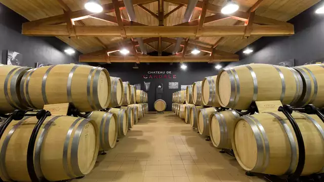 Escapade Bordelaise et dégustation dans un domaine à Saint-Émilion