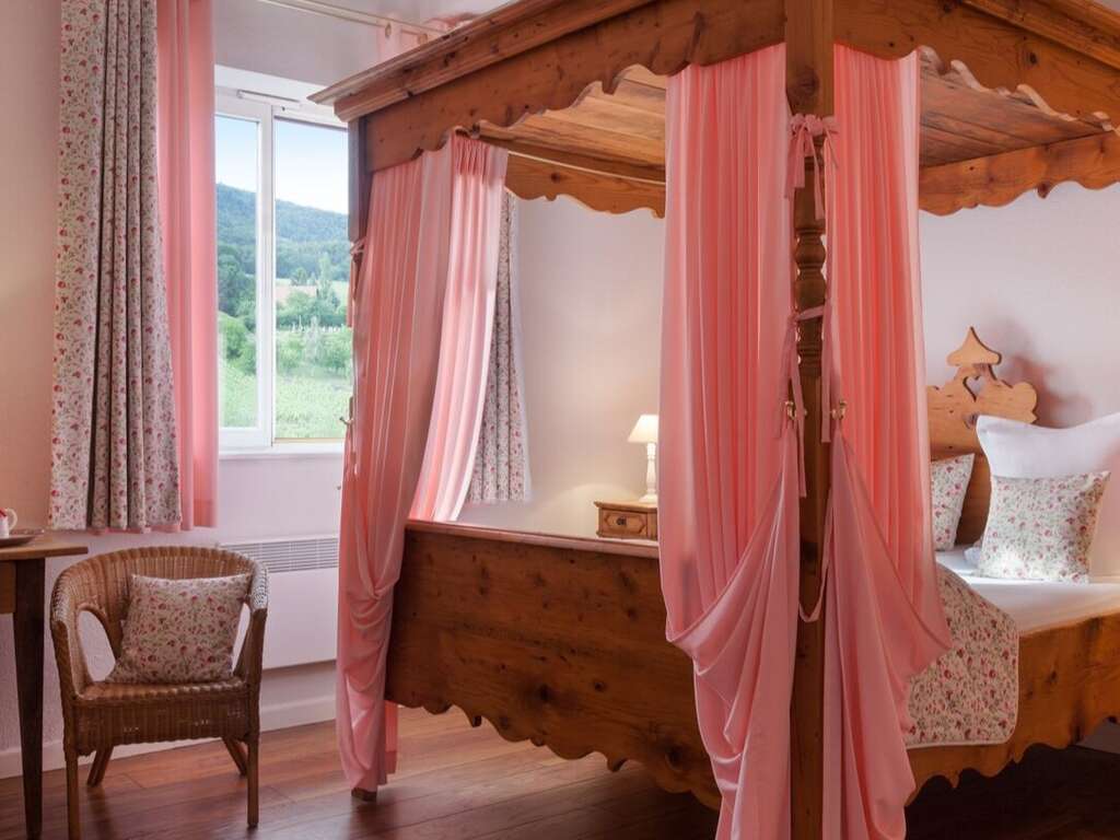 Séjour découverte en suite en Alsace, proche de Sélestat - 3* - 1