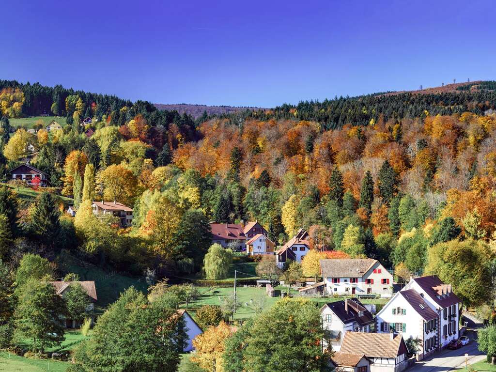 Séjour découverte en suite en Alsace, proche de Sélestat - 3* - 12