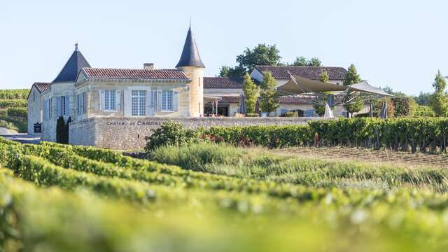 Dégustation de vins pour 2 adultes