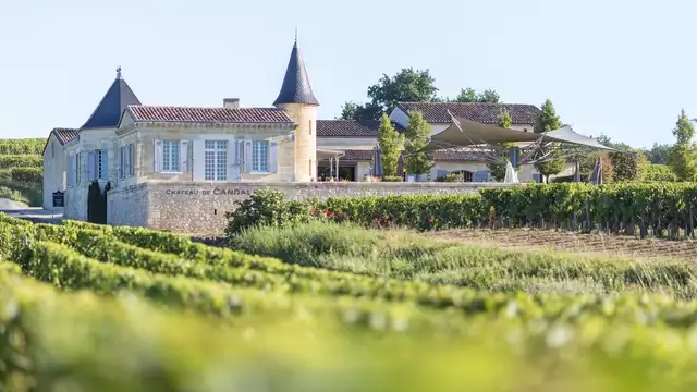 Uitstapje naar Bordeaux met bezoek en proeverij in Saint-Émilion.
