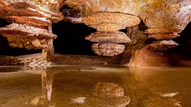 Séjour à Marseille avec visite de la Grotte Cosquer