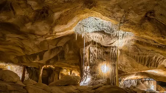 Estancia en el corazón de Marsella con visita a la Grotte Cosquer.