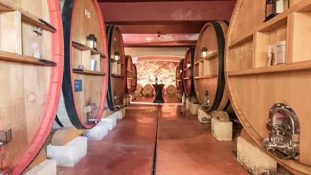 Estancia gastronómica cerca de Bandol con visita a un viñedo.