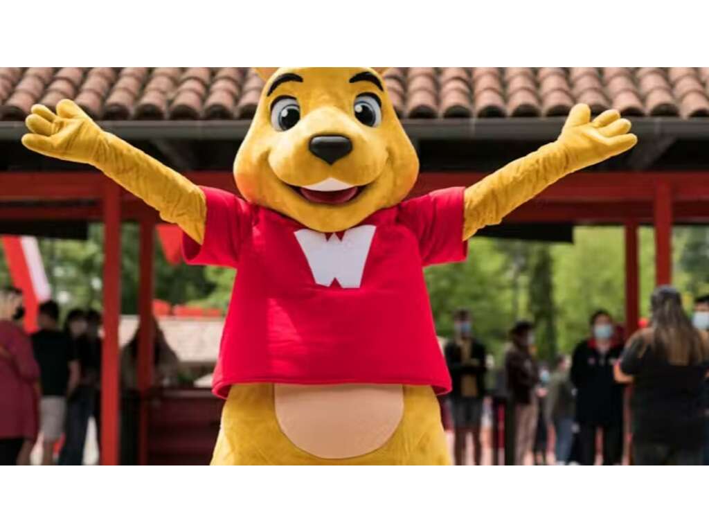 Séjour à Grenoble et entrées pour le parc Walibi à 1h de route - 3* - 19