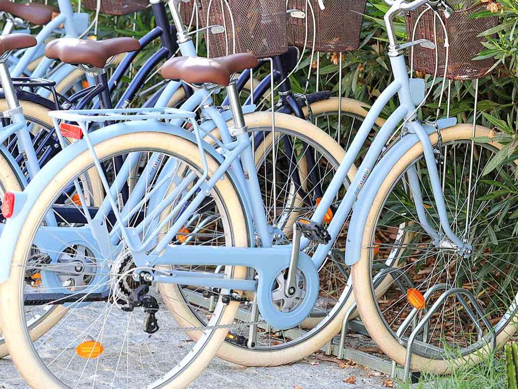 Parenthèse enchantée au vert à une heure de Paris - 4* - 16