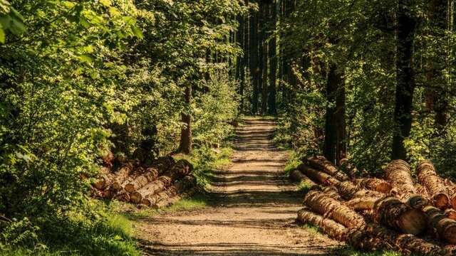 Pasa la noche en el entorno boscoso de Zeist