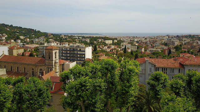 Adonis Mougins