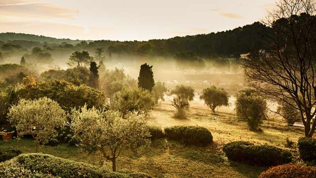 Adonis Mougins