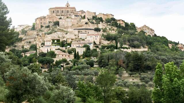 Adonis Mougins