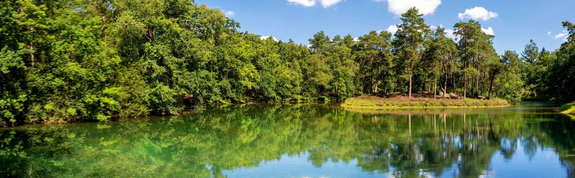 Séjour détente au vert dans le domaine de Woudschoten à Zeist