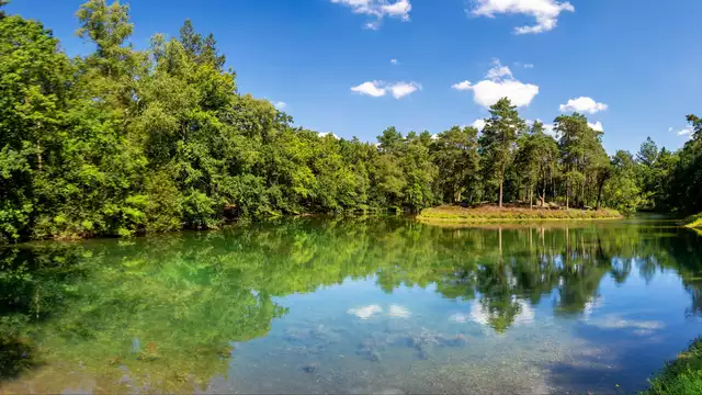 Estancia relajante en plena naturaleza en Zeist, cerca de Utrecht