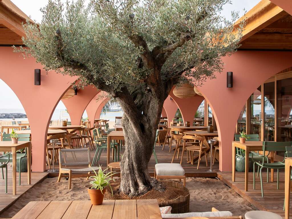 Elégance, gastronomie, et plage à Fréjus - 4* - 18