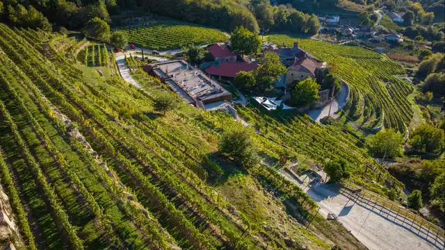 Fuga con colazione e degustazione di vini nella magia del Ribeiro.
