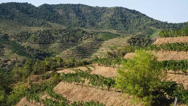 Escapada con encanto en un hotel boutique del Priorat