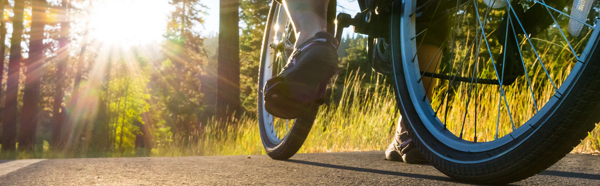 Vélo, découverte et séjour à Rotterdam