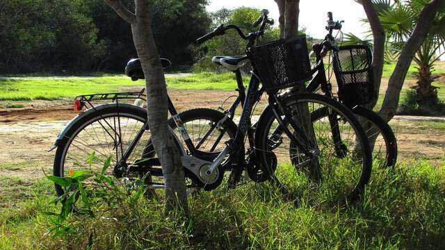 Huur van fiets voor 2 volwassenen