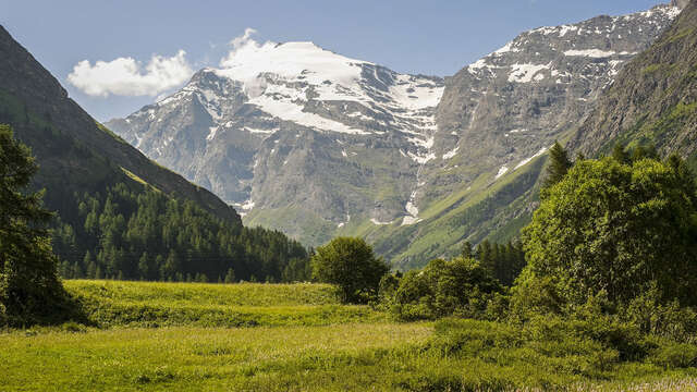 Garrigae Caserne de Briancon